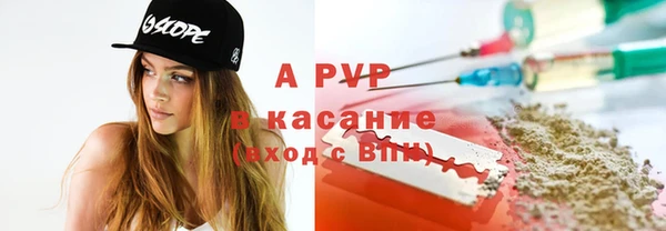 прущие крисы Каменногорск
