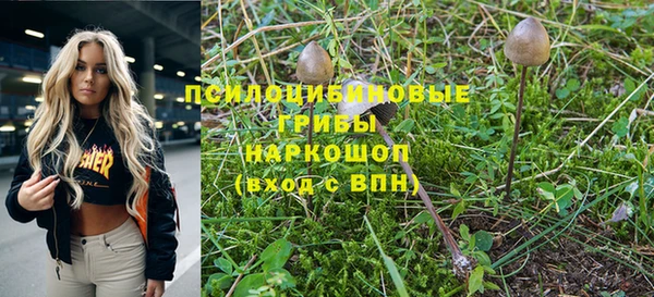 прущие крисы Каменногорск