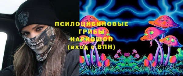 прущие крисы Каменногорск