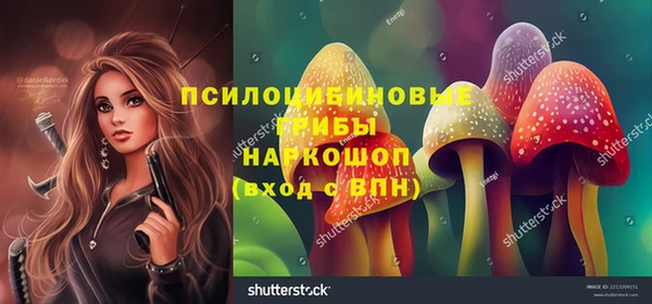 соль ск Каменка