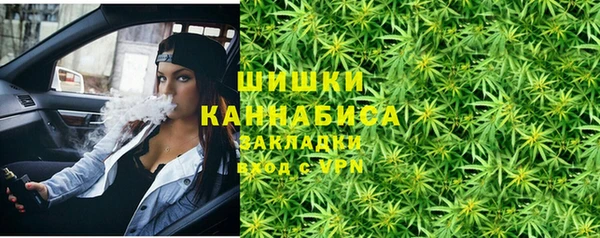 соль ск Каменка